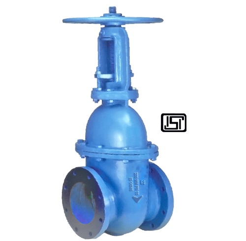 SLUICE VALVE WITH ISI MARK (RISING SPINDLE)