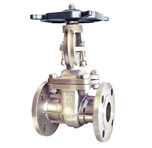 SS GATE VALVE